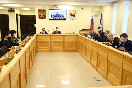 Комитет по госстроительству рекомендовал принять проект закона о поправках к Уставу Иркутской области